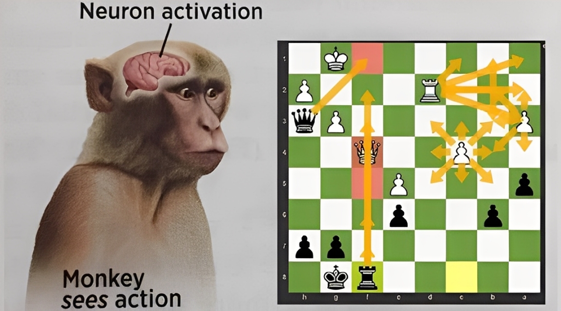 Chess Strategy